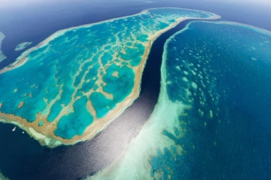 Great Barrier Reef   Wallpaper, High Definition, High Quality ...