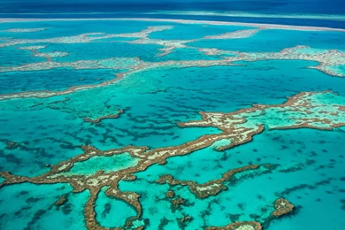 2000x1000px Great Barrier Reef