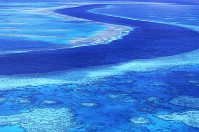The Great Barrier Reef, Australia iPhone 4/4S/iPod   Wallpapers ...