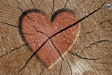 Broken Heart Backgrounds HD Wallpapers   Free Wall Paper
