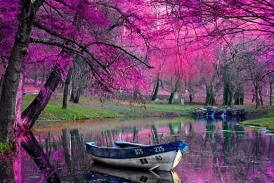 Free Wallpapers And Themes For Mobile And IPhone