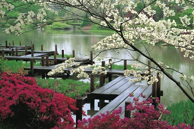 Download Green Landscapes Wallpapers 1920x1200