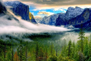 Yosemite In Fog   (