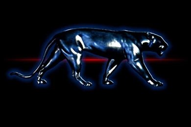 Black Panther Amazing Wide Hd Wallpapers