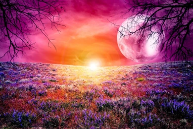 Sunrise Wallpapers Archives   HD Wallpapers & 4K Wallpapers Download ...