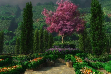 Hd Flower Garden Wallpapers   HD Wallpapers And Pictures