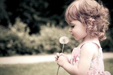 Little Girl, Child, Dandelion Wallpapers And Images   Wallpapers ...