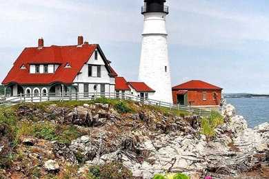 Coast Sea Landscape Flower Rock Motorola Moto Wallpapers HD 1080x1920