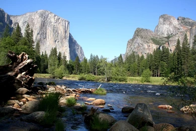 Yosemite Pictures
