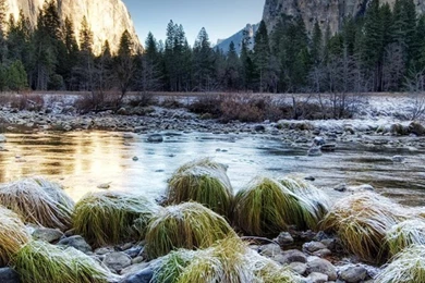 Yosemite National Park Yosemite Valley Wallpaper_other_health ...