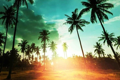 Hawaiian Islands Wallpapers   Android Apps On Google Play