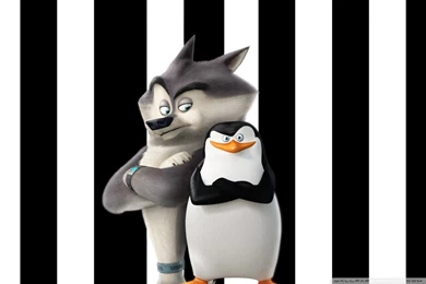 Penguins Of Madagascar Skipper And Classified HD Desktop Wallpapers ...