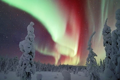 Download Aurora Borealis Wallpapers HD