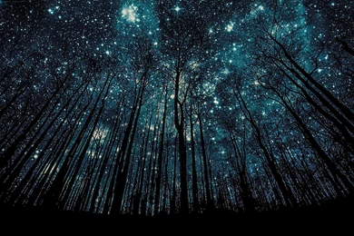 High Resolution Amazing Starry Night Sky Wallpapers For Desktop ...