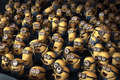 216 Despicable Me 2 HD Wallpapers