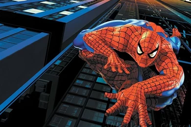 Spider Man Widescreen Wallpapers (1920+1600 ) 30   Wallcoo.net