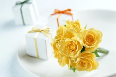 Yellow Rose Image