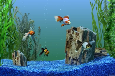 Wallpapers Screensaver HD Wallpapers Desktop Wallpapers ...