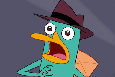 Perry The Platypus Widescreen Wallpapers 11788   HD Wallpapers Site