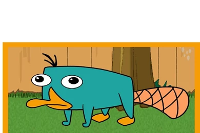 High Quality Perry The Platypus Wallpapers