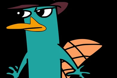 Perry The Platypus Wallpapers Image 11492   HD Wallpapers Site