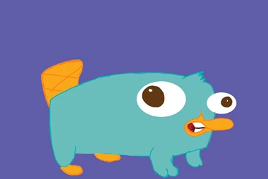 Baby Perry. The Platypus By Purplypanda20 On DeviantArt