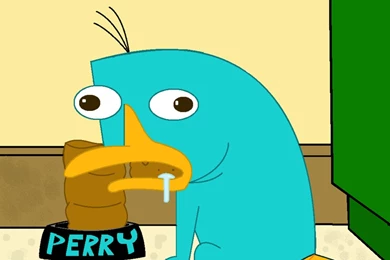 Perry The Platypus Wallpapers Pics 11902   HD Wallpapers Site