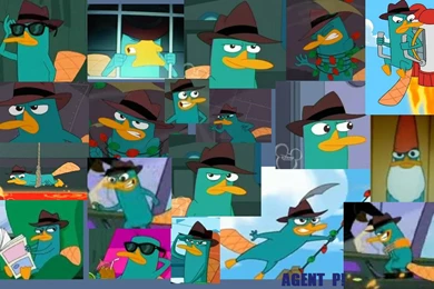 Perry The Platypus By JosefinaP By LimaNyan On DeviantArt