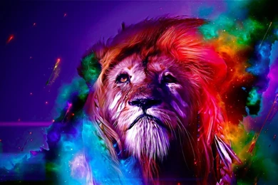 Lion Wallpapers   Fancy Free   Android Apps On Google Play