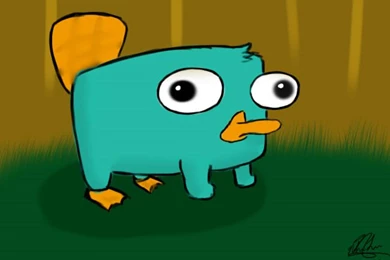 Baby Perry The Platypus By Nhiluu97 On DeviantArt