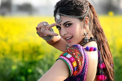 Shruti Hassan HD Wallpapers,Bollywood Actress