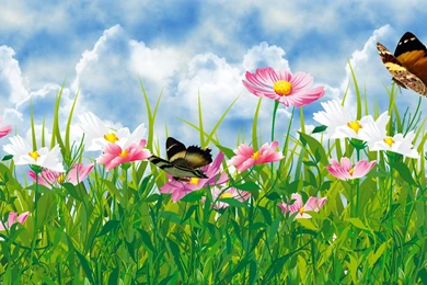 Wild Plant Desktop Wallpapers Hd