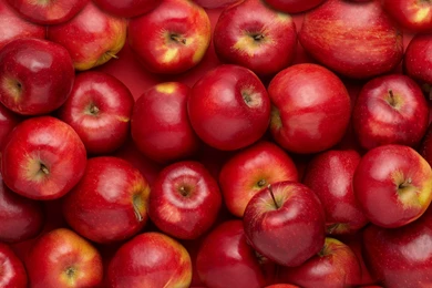 Red Apples 16 Wallpapers Collection