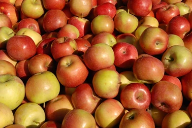 ROSEY APPLES WALLPAPER   (