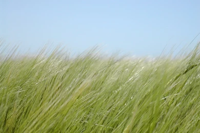 Download June Wallpapers 1600x1200