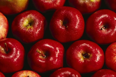 12 Wonderful HD Apples Wallpapers   HDWallSource.com