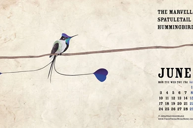 June 2013 Desktop Wallpapers