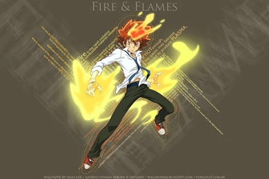 Katekyo Hitman Reborn Wallpapers