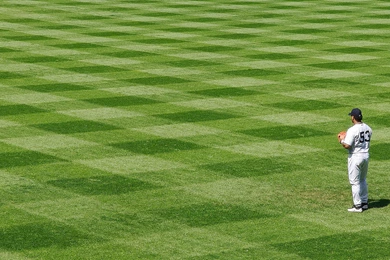 Download Wallpapers, Download 2560x1600 Baseball Field Grass Field ...