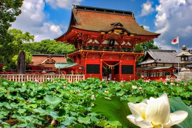 Travel Wallpapers   Android Apps On Google Play