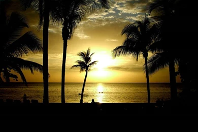 Wallpapers Jamaica Beach Free Screensavers 1024x768