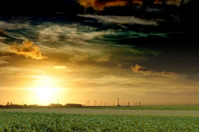 FreePhotoz Daily Wallpapers & Backgrounds   Field Under Yellow Sky ...