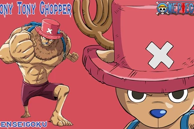 One Piece Chopper Wallpapers HD 10757   HD Wallpapers Site