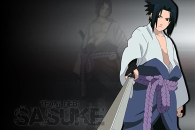 FREE HD WALLPAPER: February 2009