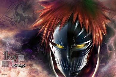 Search Results For Ichigo Vizard HD Wallpapers