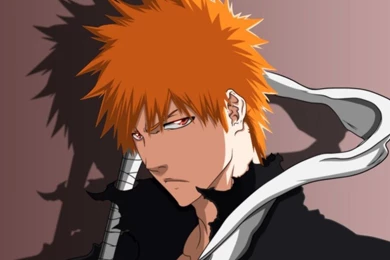 ICHIGO KUROSAKI WALLPAPER   (