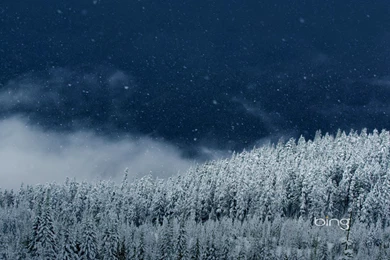 Weekly Bing Wallpapers 08 14 January 2013