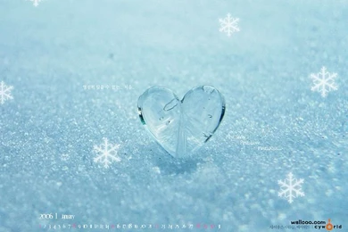 Lovely CG Calendar Of January 55   Wallcoo.net