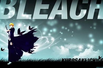 The Images Of Bleach Kurosaki Ichigo Shinigami 1680×1050 Hd