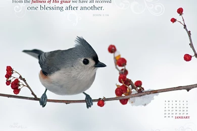 Download HD New Year 2016 Bible Verse Greetings Card & Wallpapers ...